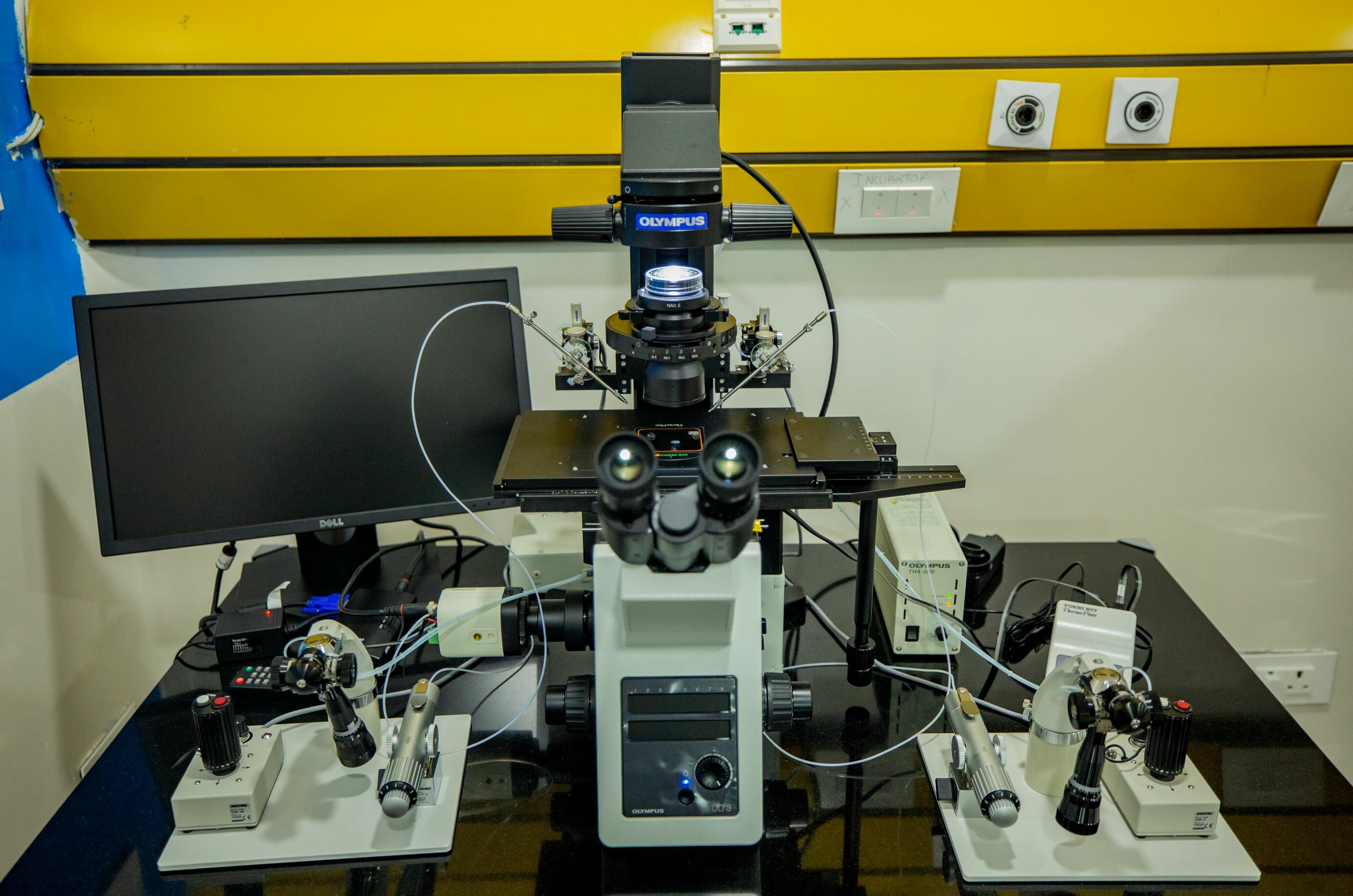 IVF Lab